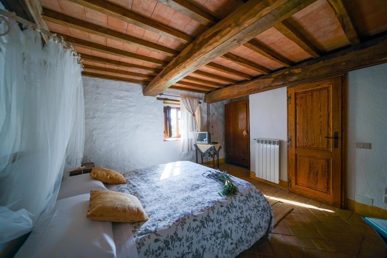 Agriturismo La Colombella บาญญี ซาน ฟีลิปโป ภายนอก รูปภาพ