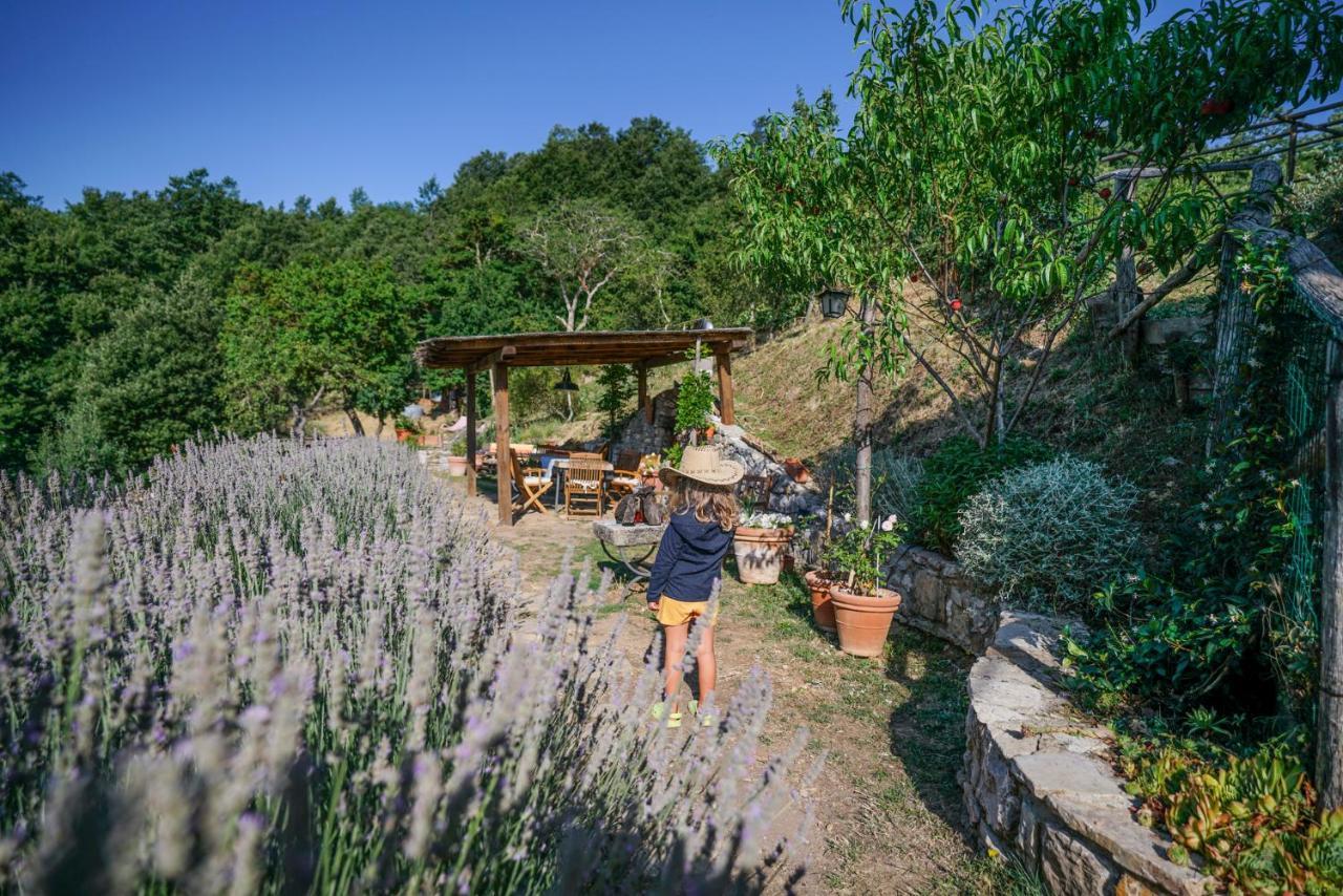 Agriturismo La Colombella บาญญี ซาน ฟีลิปโป ภายนอก รูปภาพ