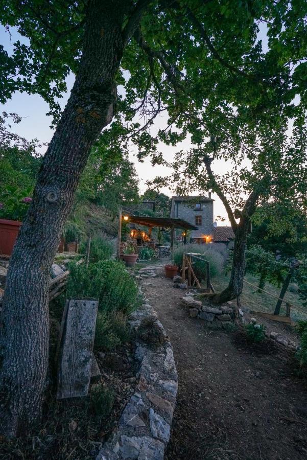 Agriturismo La Colombella บาญญี ซาน ฟีลิปโป ภายนอก รูปภาพ